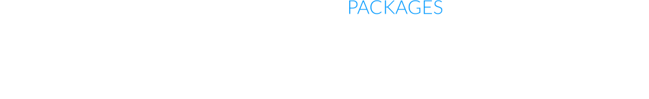 PROMOTIONAL PACKAGES Promotional/sales packages consisting of brochures, flyers, tender documents, presentation packaging etc. can be created in conjunction with PowerPoint presentations to attract new customers and encourage existing ones.  Example brochures and tender presentation packs can be seen below.